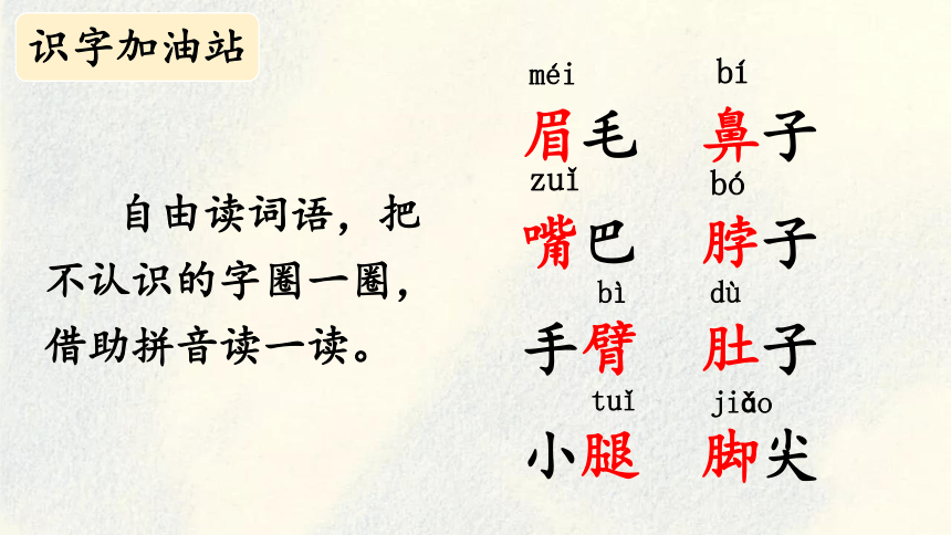 课件预览