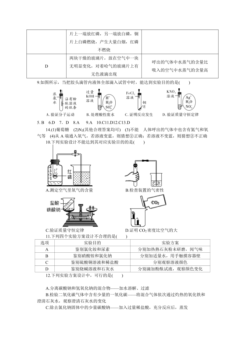 课件预览