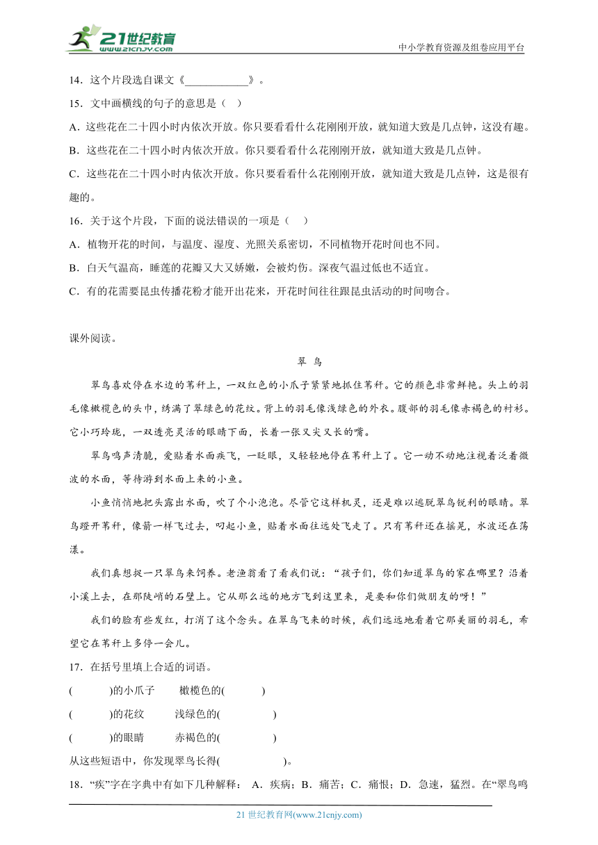 课件预览