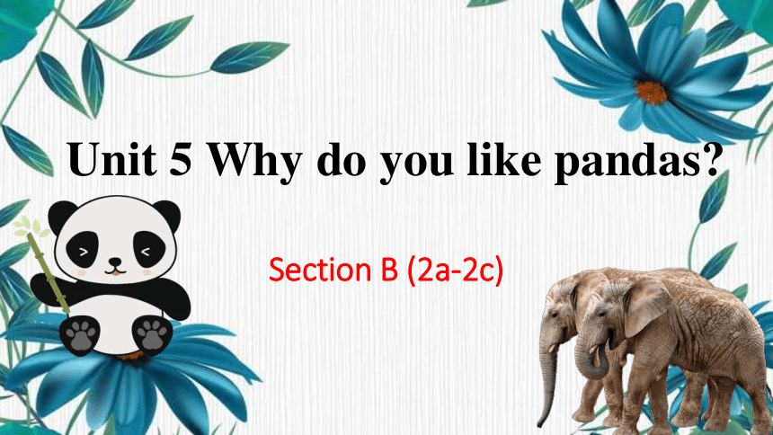 Unit 5 Why Do You Like Pandas? Section B 2a-2c 课件（23张PPT） 2022-2023学年人教 ...