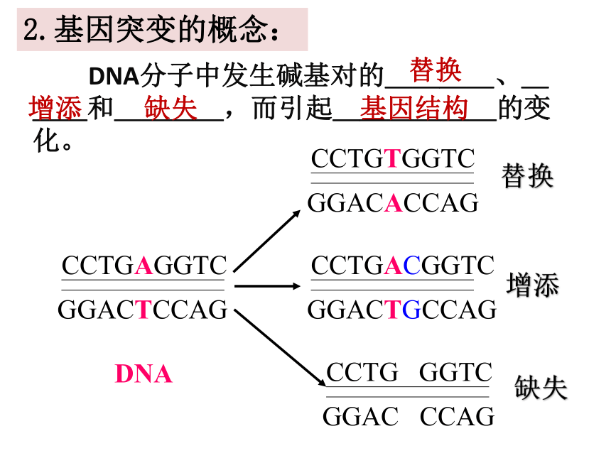 1基因突变和基因重组 课件