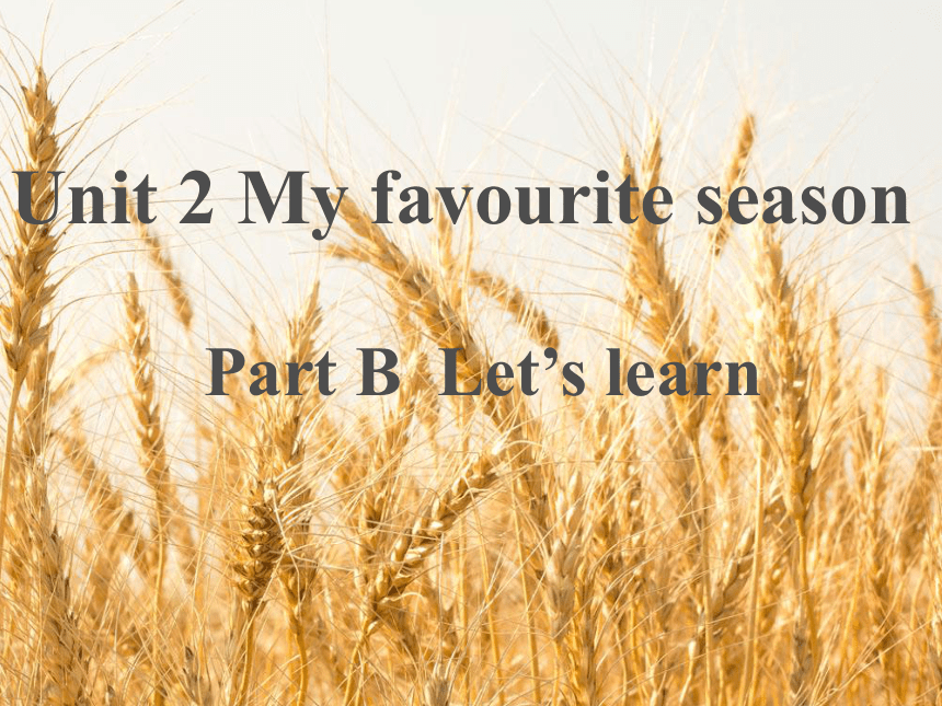 Unit 2 My Favourite Season Part B Let’s Learn 课件(共35张PPT)-21世纪教育网