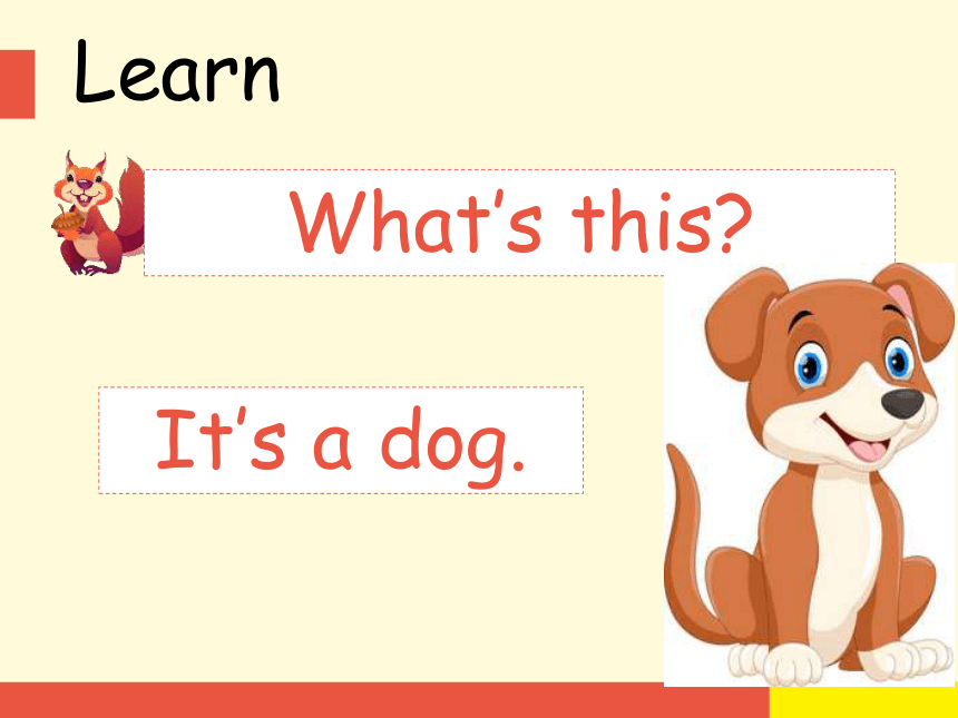 Unit 3 Animals Lesson 1课件(共11张PPT)-21世纪教育网