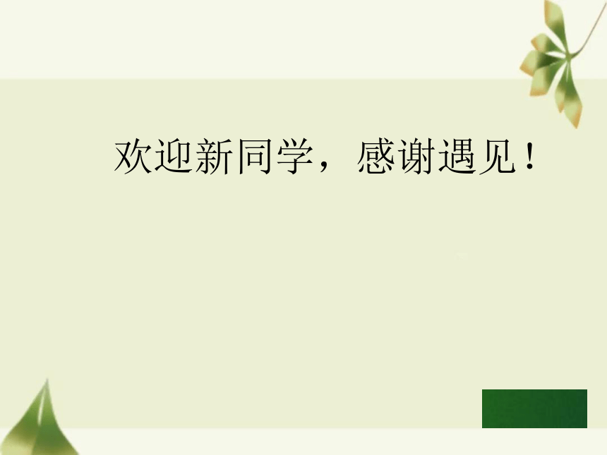 课件预览