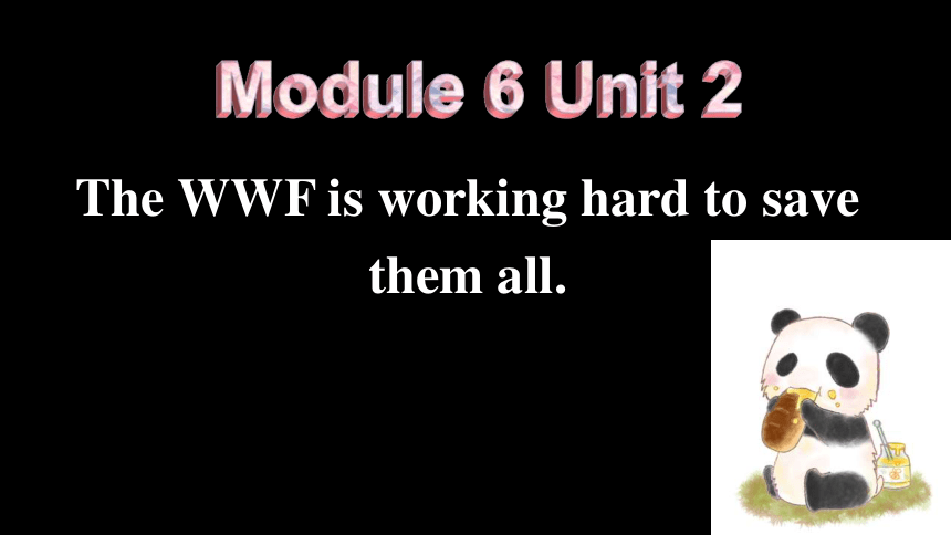 module6-unit-2-the-wwf-is-working-hard-to-save-them-all-35-ppt-21