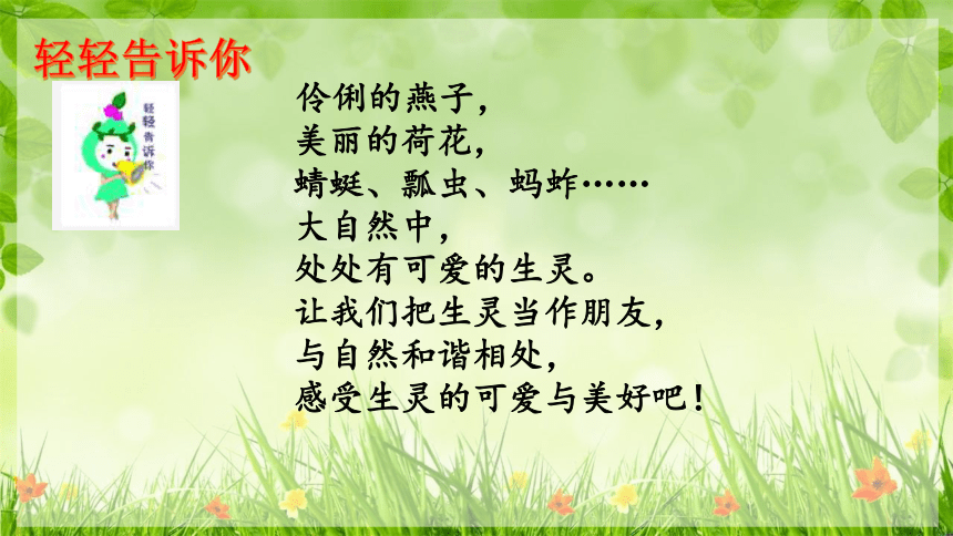 课件预览