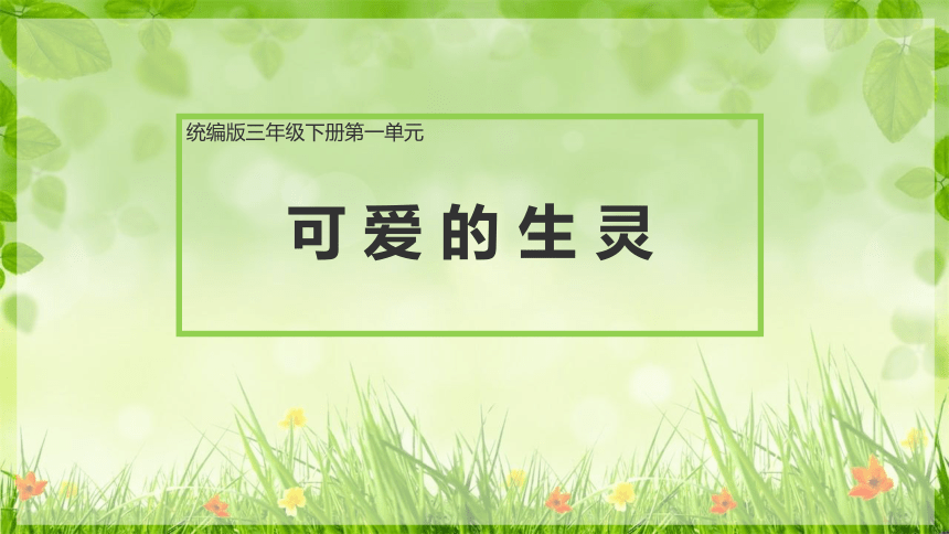 课件预览