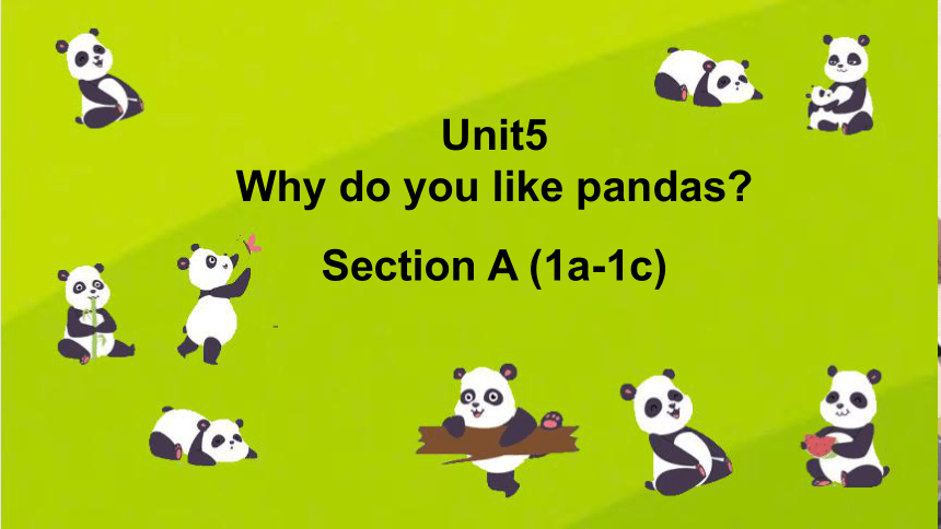 unit-5-why-do-you-like-pandas-section-a-1a-1c-25-ppt-21