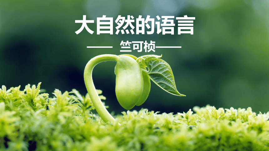 第5课《大自然的语言》课件