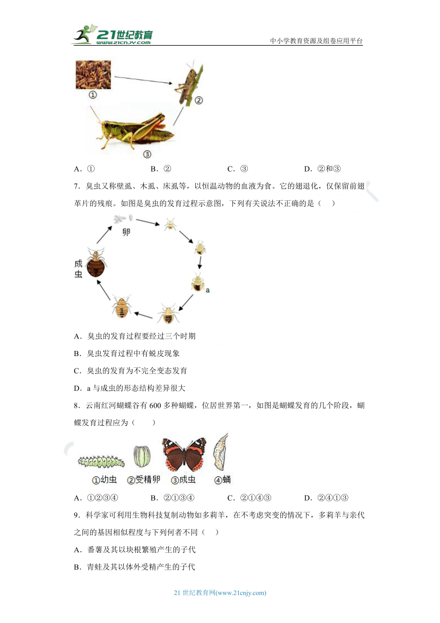 八年级生物下册第七单元第一章生物的生殖和发育单元综合复习与检测（含答案） 21世纪教育网 6330