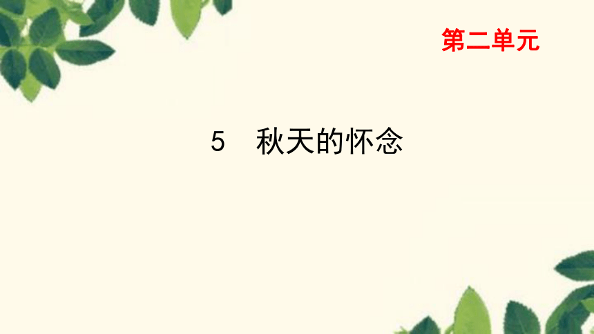 课件预览