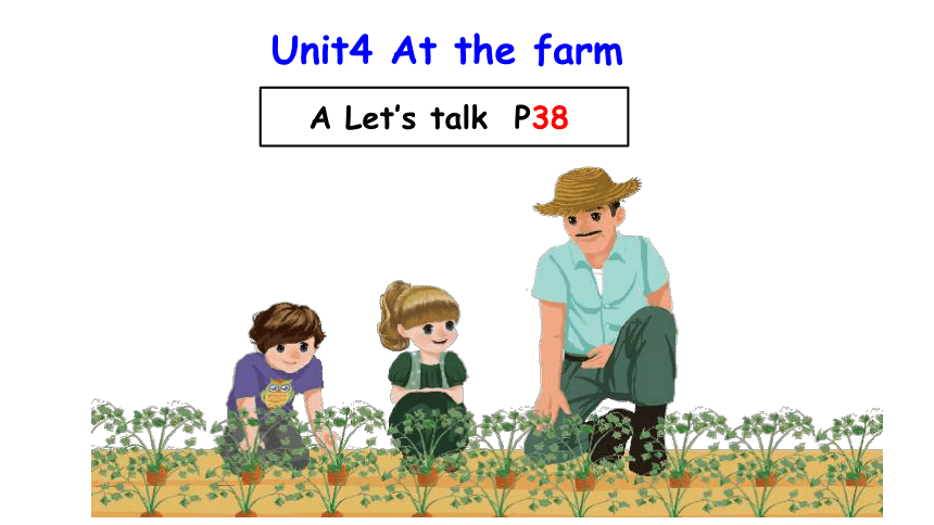 Unit 4 At The Farm A Let’s Talk 课件(共19张PPT)-21世纪教育网