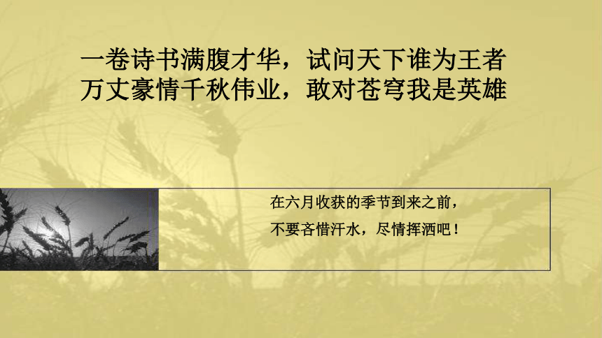 课件预览