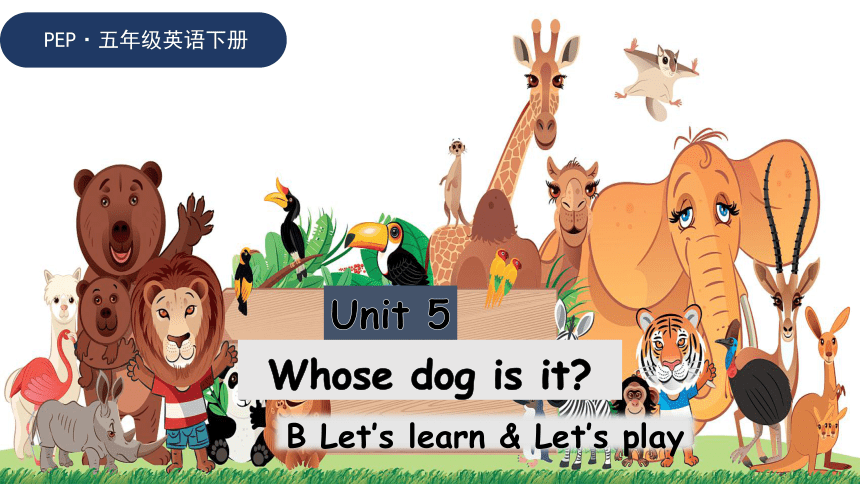 Unit5 Whose Dog Is It B Let's Learn (新课标) 原创优课 教案 同步练习(共40张PPT)-21世纪教育网