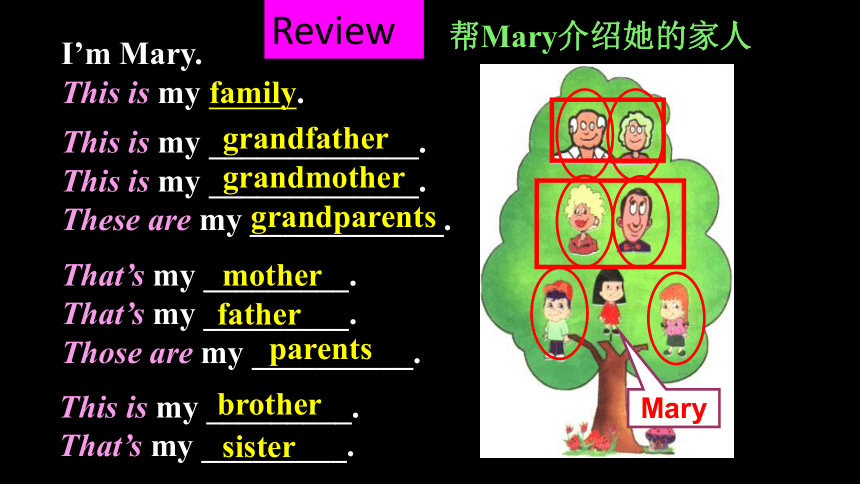 Unit 2 This is my sister Section B 2b~3b 课件(共27张PPT)2022-2023学年人教版英语七年级 ...