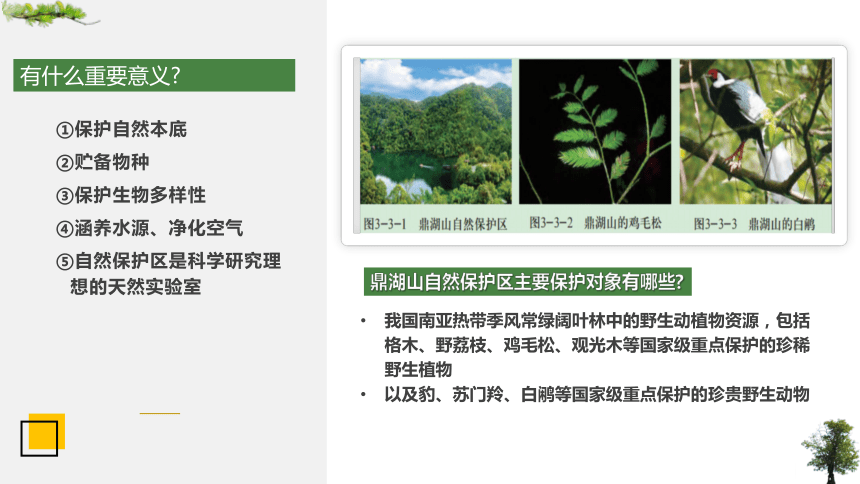3.3自然保护区与生态安全 课件（36张）