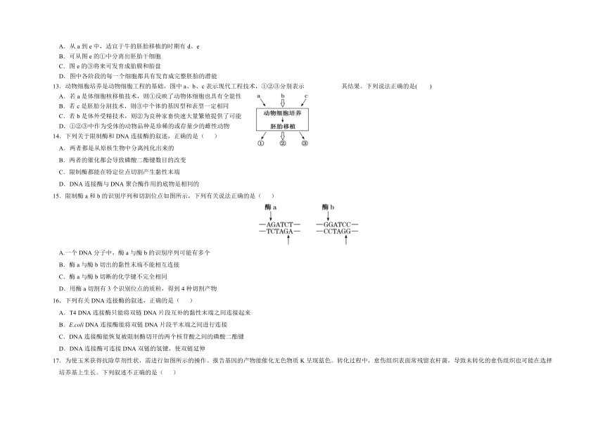 吉林省长春市朝阳区名校2022-2023学年高二下学期期中考试生物学试题（Word版含答案）