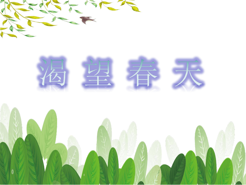 课件预览