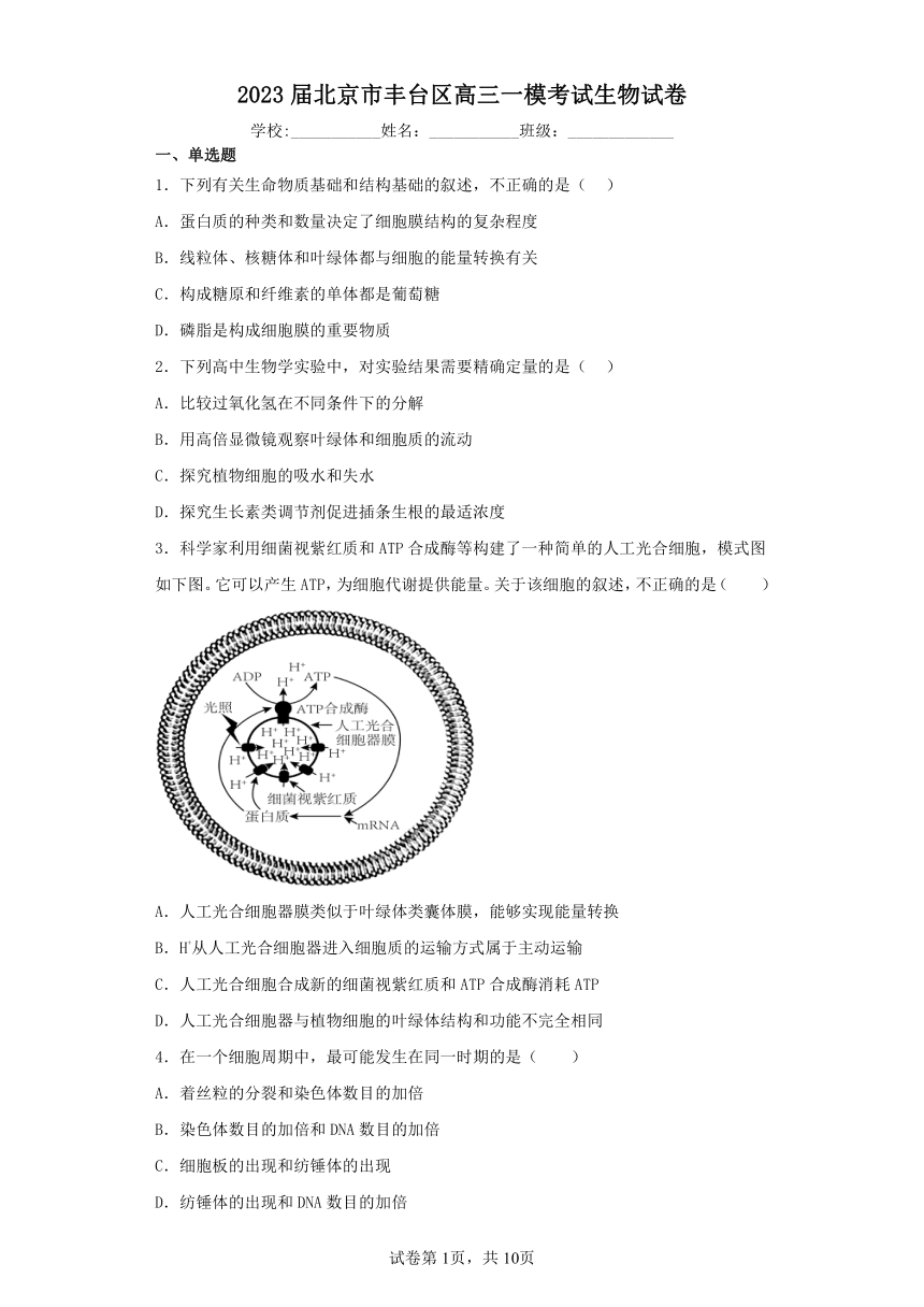 2023届北京市丰台区高三一模模拟练习考试生物试卷（Word版含答案解析）