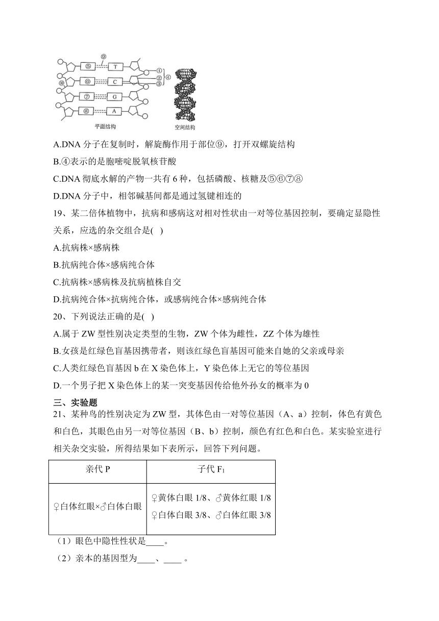 吉林省2022-2023学年高一下学期周测二生物试卷（含答案）