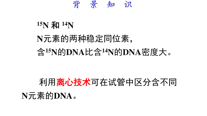 3dna的复制课件(共41张ppt)2022