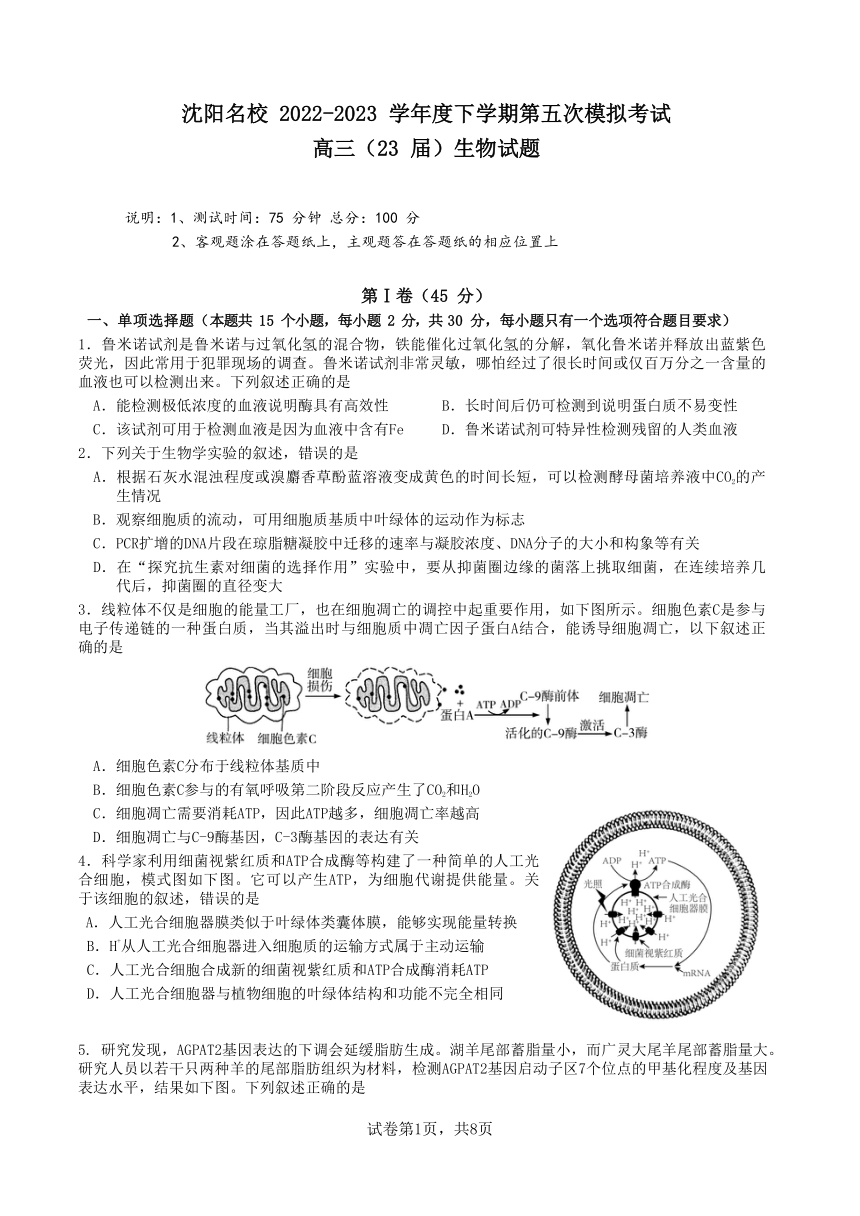 2023屆遼寧省瀋陽市名校高三下學期第五次模擬考試生物學試題pdf版含