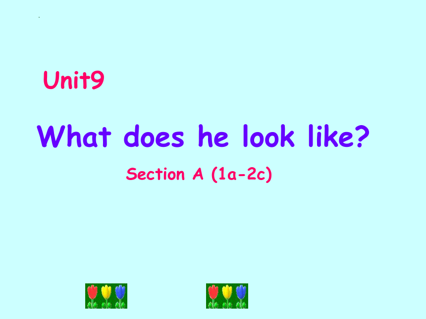 unit9-what-does-he-look-like-section-a-1a-2c-19-ppt-21