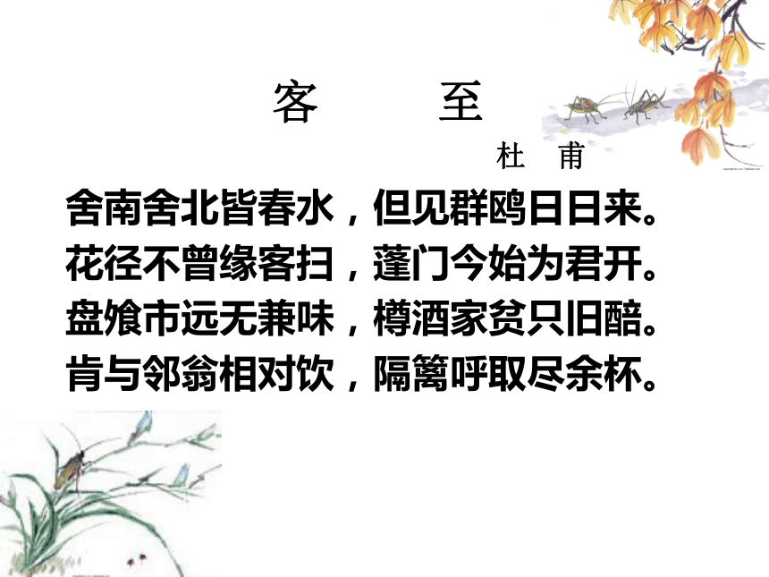 课件预览