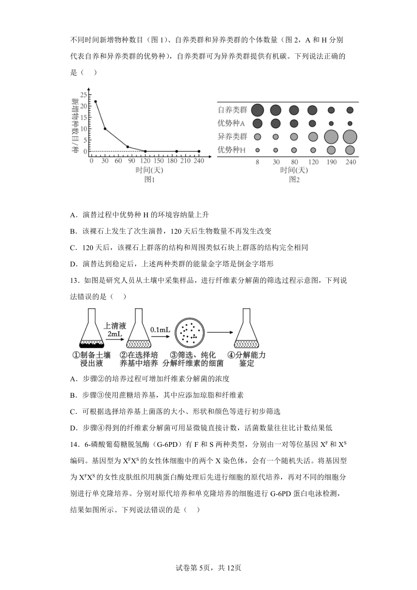 2023届山东省青岛市高三第三次适应性检测生物试题（含解析）