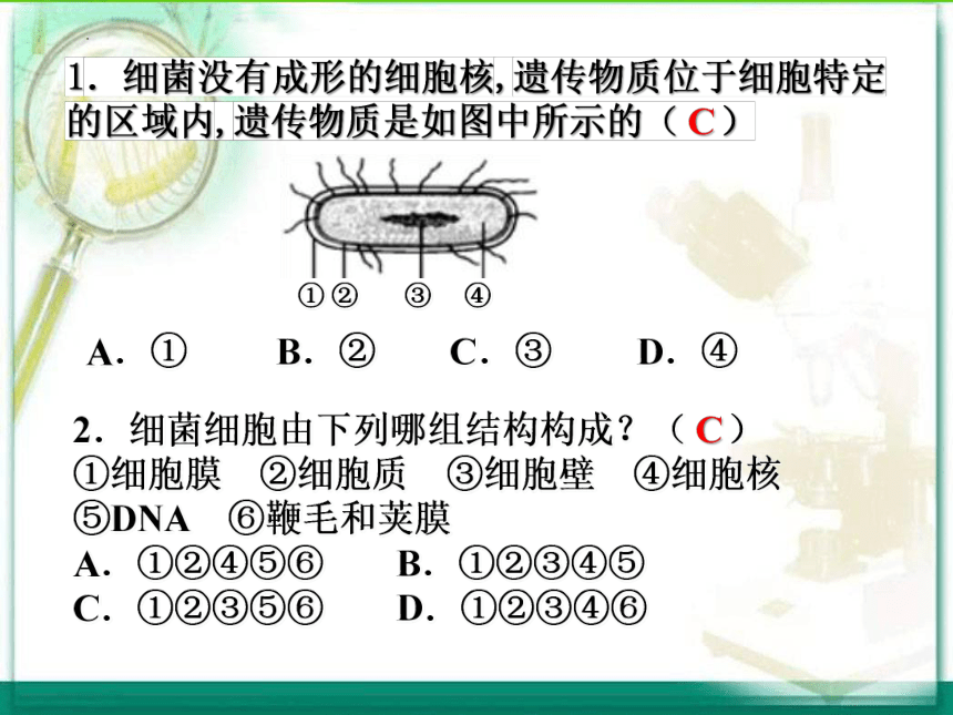 5.18.1微生物在生物圈中的作用课件(共49张PPT)2022--2023学年北师大版生物八年级上册