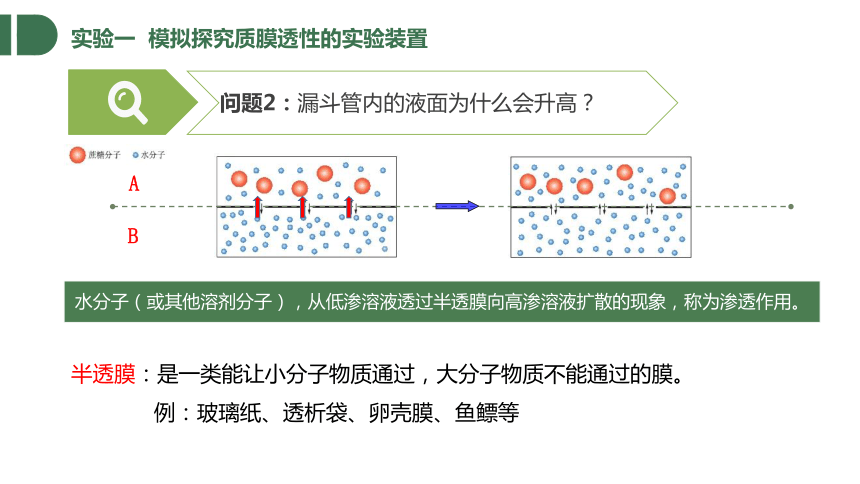 2.1.2 物质进出细胞的方式-水通过渗透作用进出细胞课件（共29张PPT）