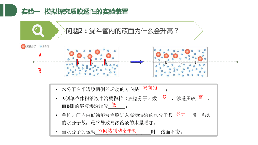 2.1.2 物质进出细胞的方式-水通过渗透作用进出细胞课件（共29张PPT）