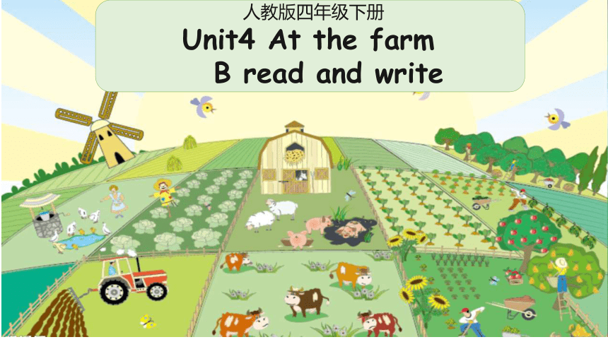 Unit4 At The Farm B Read And Write 课件(共24张PPT)-21世纪教育网