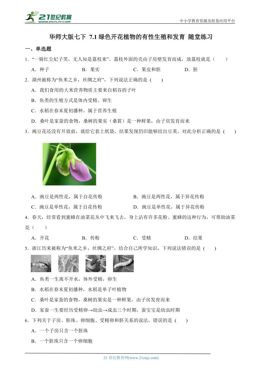 华师大版七下 7.1绿色开花植物的有性生殖和发育 随堂练习（含解析）