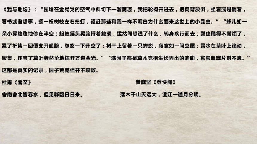 课件预览