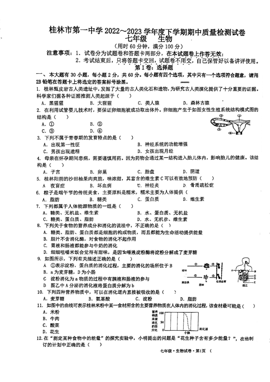 广西桂林市第一中学2022-2023学年七年级下学期期中质量检测生物试卷（pdf版无答案）