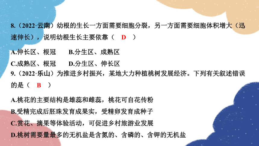 2023年中考生物复习 专题5　生物圈中的绿色植物   习题课件(共15张PPT)