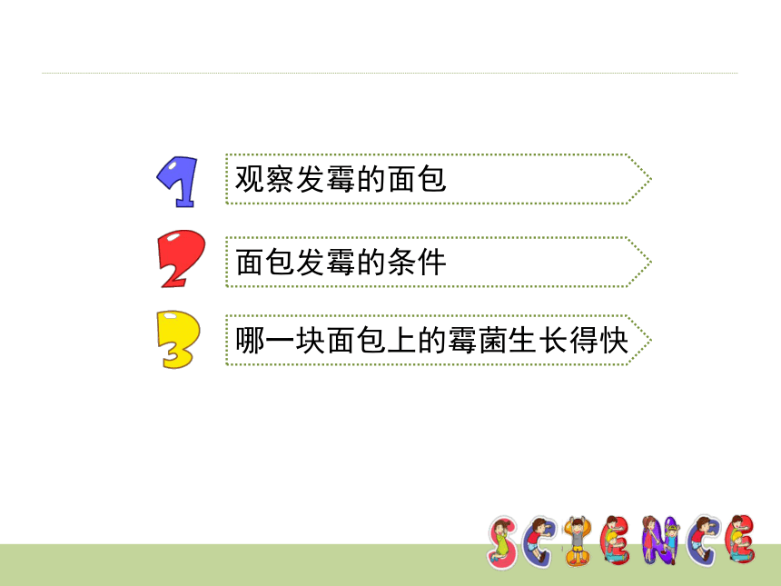 《面包发霉了》课件  (共16张PPT)