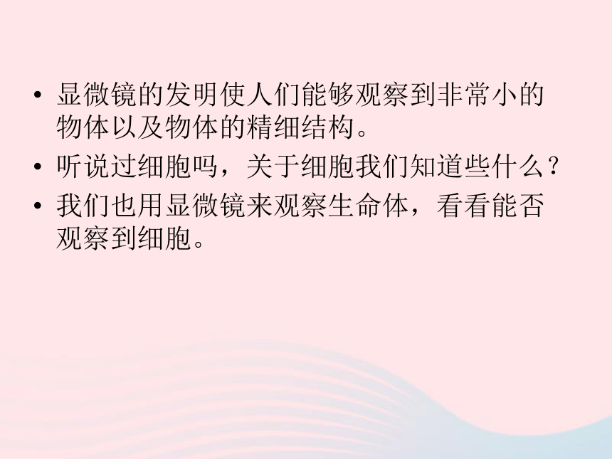 六年级科学下册第一单元微小世界5用显微镜观察身边的生命世界(一)课件 教科版（43ppt）