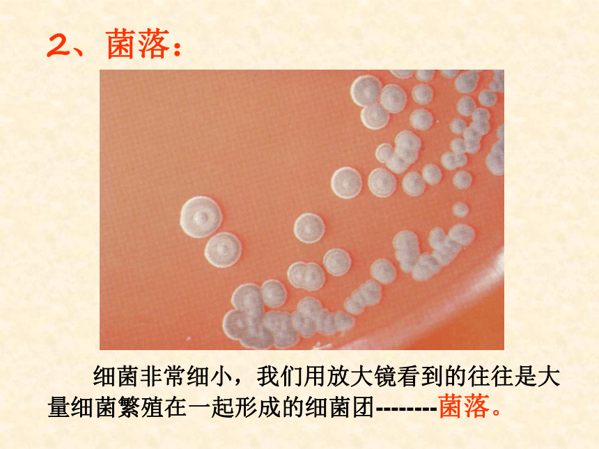 六年级下册科学课件- 《走近微生物世界 形成认识》 北京课改版  (共22张PPT)