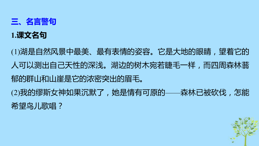 （浙江专用）2018—2019版高中语文苏教版必修1课件：专题四像山那样思考文本19《神的一滴》（57张PPT）