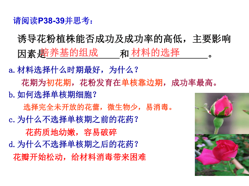 人教版选修一高中生物课题2 月季的花药培养(24张PPT)