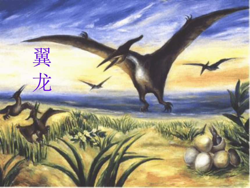 四年级上册语文课件-31飞向蓝天的恐龙-人教新课标 (2)(共39张PPT)