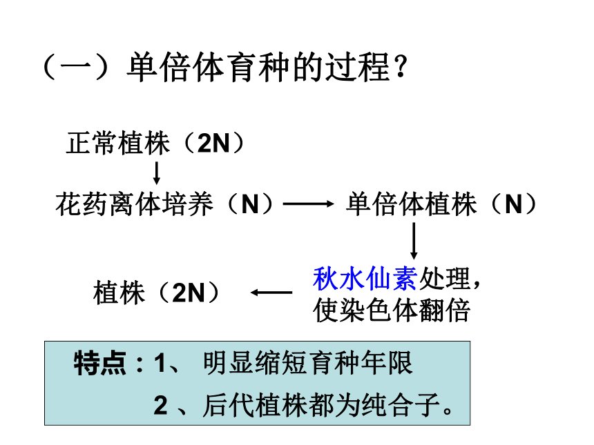 人教版选修一高中生物课题2 月季的花药培养(24张PPT)