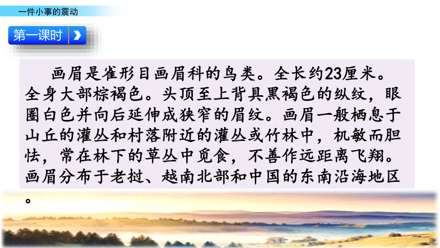 5 爱心行动 一件小事的震动 课件（38张PPT）