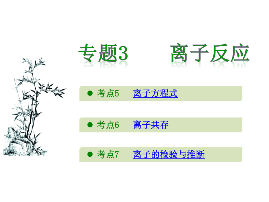 2017新版《600分考点 700分考法》高考化学一轮专题复习课件：A版-专题3.离子反应（共32张PPT）