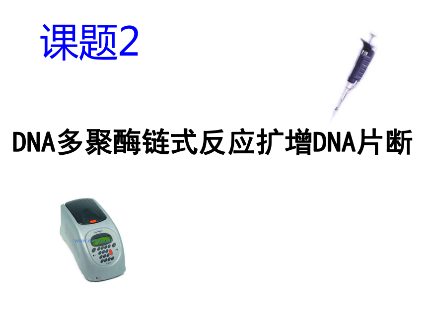 高中生物选修一5.2《多聚酶链式反应扩增DNA片段》人教版(66张PPT)