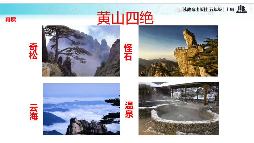 黄山奇松  课件(共35张PPT)