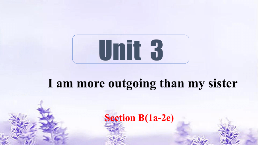 Unit 3 I'm More Outgoing Than My Sister. Section B 1a-2e 课件 (共23张PPT ...