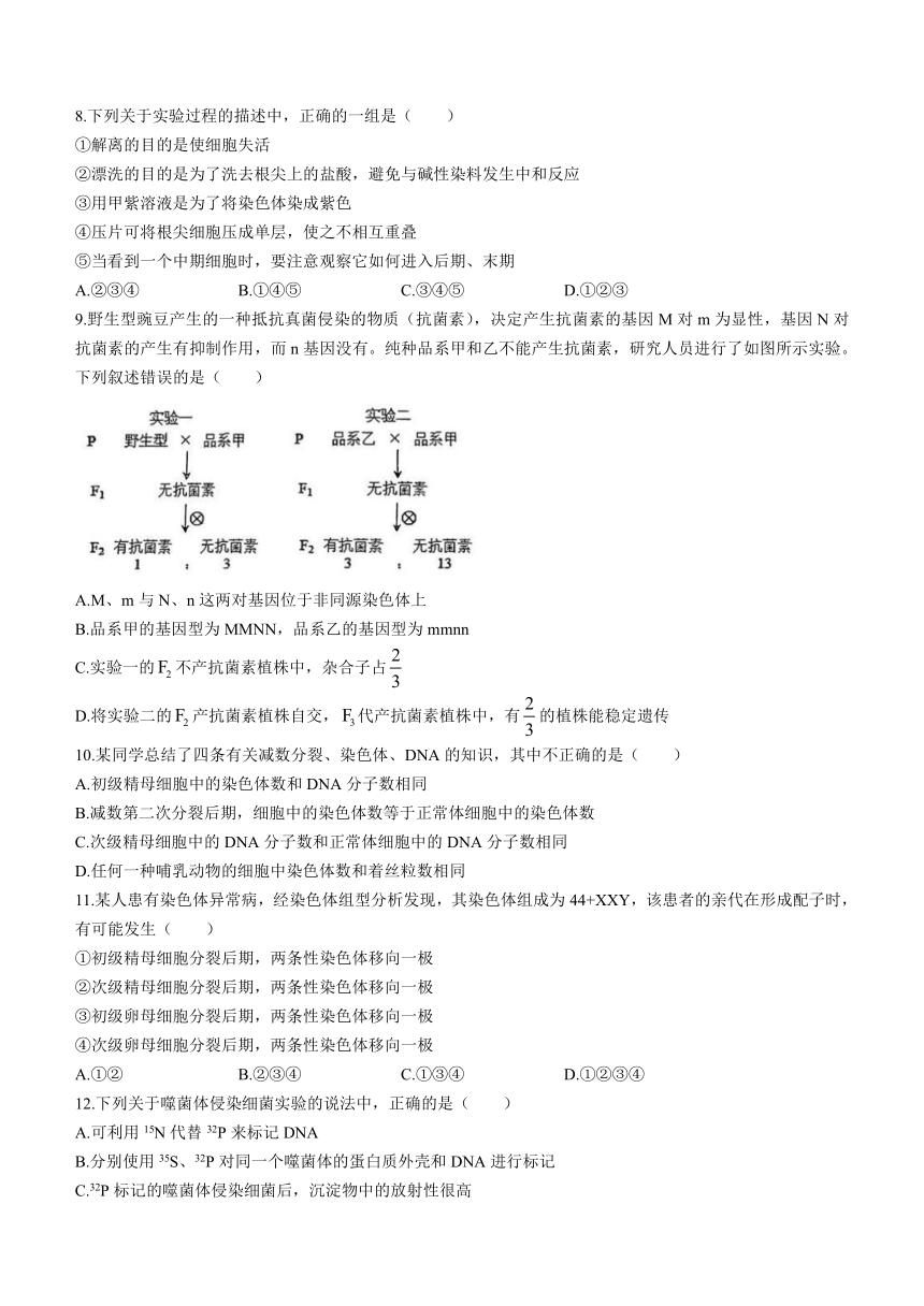 甲紫溶液染色体染色图片